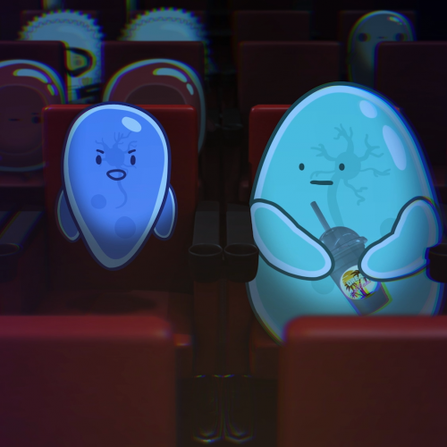 CORTEX CINE